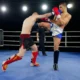 WAKO Kickbox világbajnokság 2017 élő közvetítés, negyedik nap