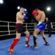 WAKO Kickbox világkupa 2018 élő közvetítés harmadik nap