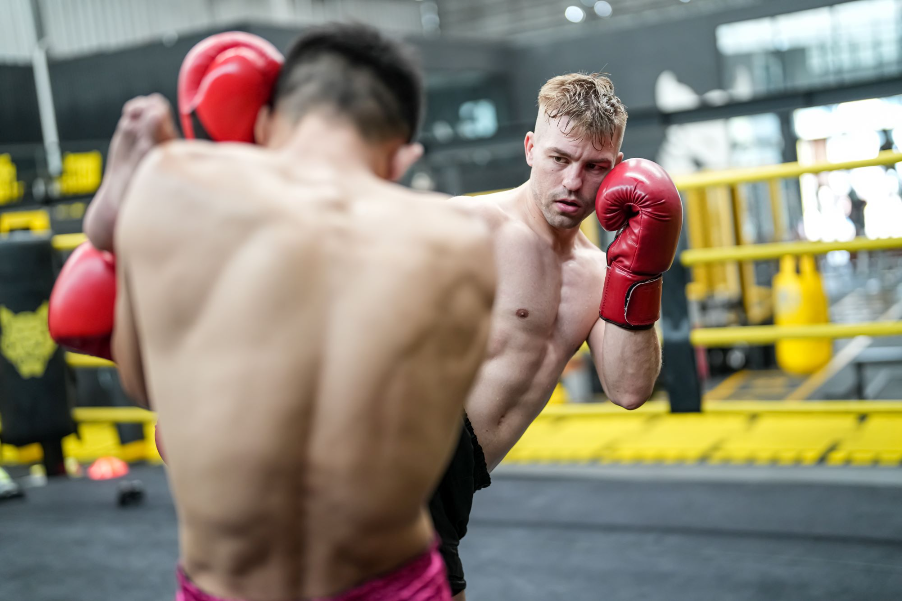 wako-kickbox-europa-bajnoksag-gyermek-kadett-es-junior-2019-elo-kozvetites-elso-nap