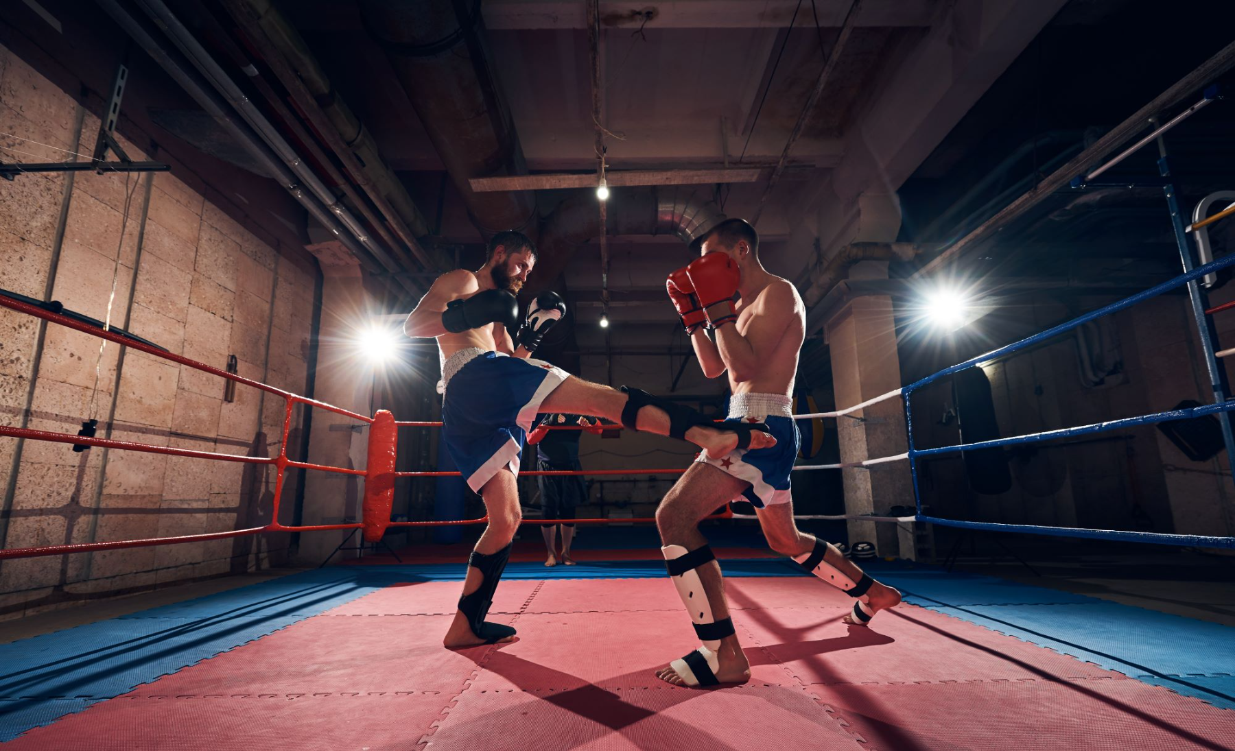wako-kickbox-europa-bajnoksag-gyermek-kadett-es-junior-2019-elo-kozvetites-harmadik-nap