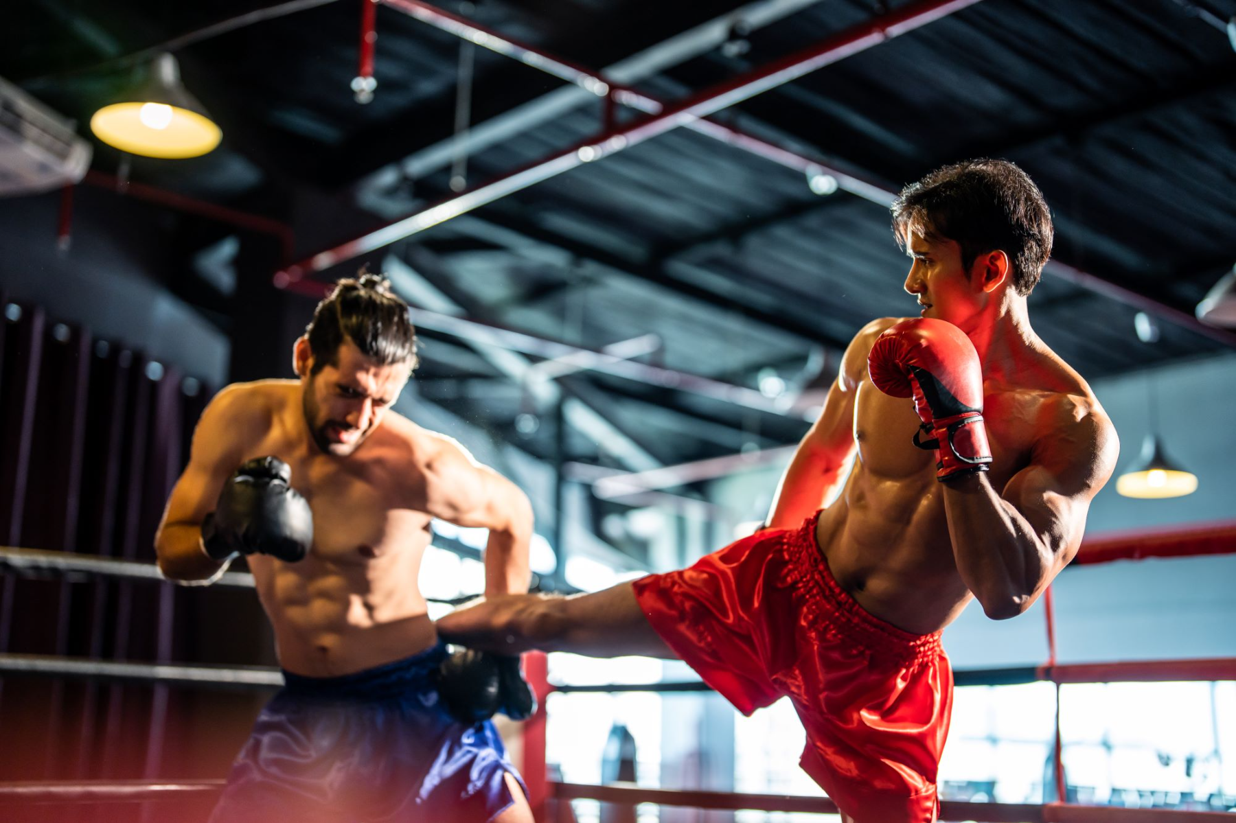wako-kickbox-europa-bajnoksag-gyermek-kadett-es-junior-2019-elo-kozvetites-negyedik-nap