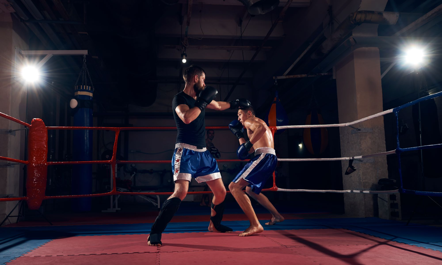 wako-kickbox-europa-bajnoksag-gyermek-kadett-es-junior-2019-elo-kozvetites-otodik-nap